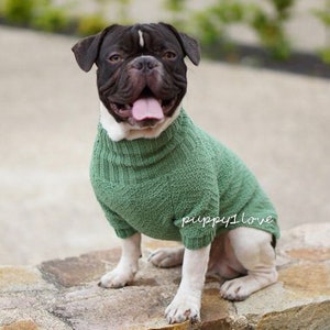 Vetement bulldog anglais store