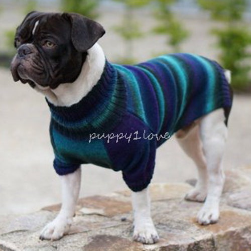 frenchie sweaters
