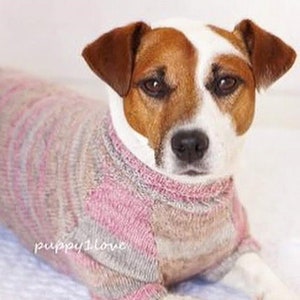 Jack russell clothing for sale store