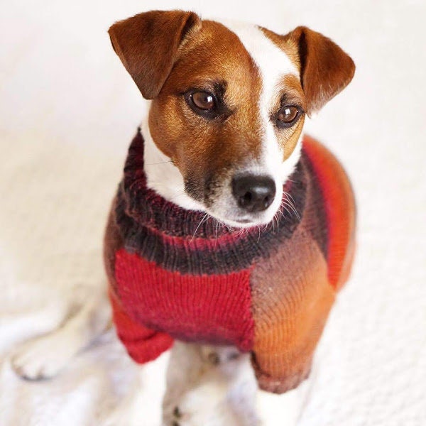 Warm dog sweater - Winter dog sweater for Jack Russell Terrier - Dog Clothes - Knit dog clothes -Small-Medium -Pet Sweater - Custom dog coat