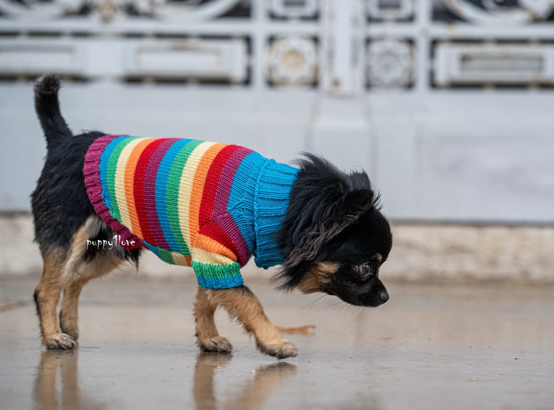 Chihuahua Clothes Gay Pride Dog Clothes LGBT Love is Etsy