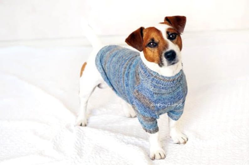 Clothes for Jack Russell Terrier Knit Dog Clothing Dog Etsy Canada