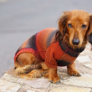 Dachshund Sweater Dog Clothes Dog clothing Dog sweater Dachshund clothes Wiener dog Dog winter clothes Winter dog sweater image 2