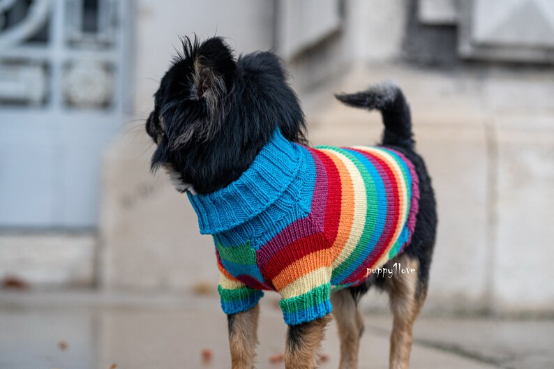 Chihuahua Clothes Gay Pride Dog Clothes LGBT Love is Etsy