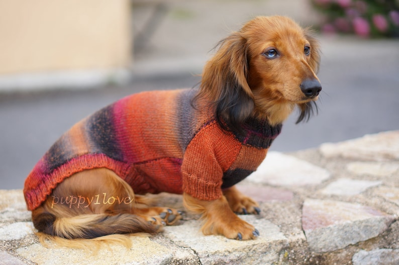 Dachshund Sweater Dog Clothes Dog clothing Dog sweater Dachshund clothes Wiener dog Dog winter clothes Winter dog sweater image 4