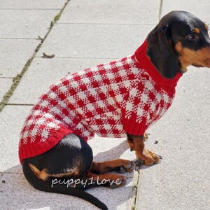 May include: A black and tan dachshund wearing a red and white checked sweater. The dog is sitting on a grey concrete surface.