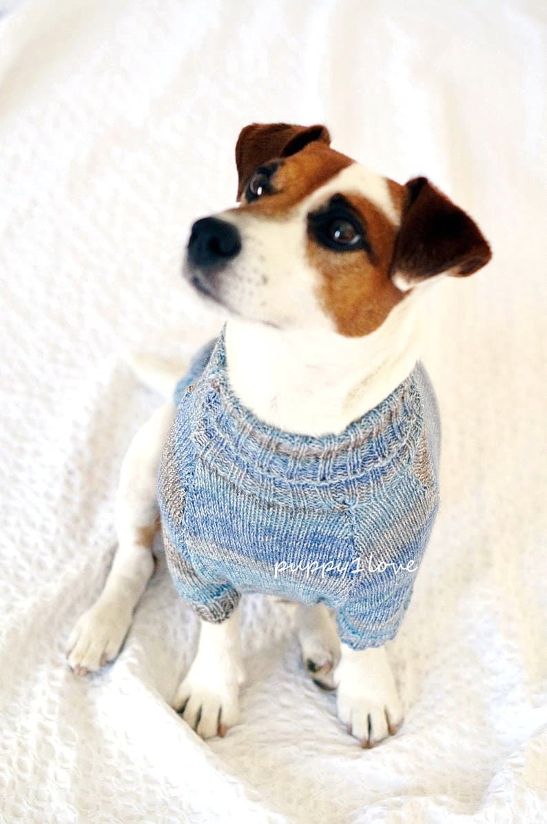 Clothes for Jack Russell Terrier Knit Dog Clothing Dog Etsy Canada