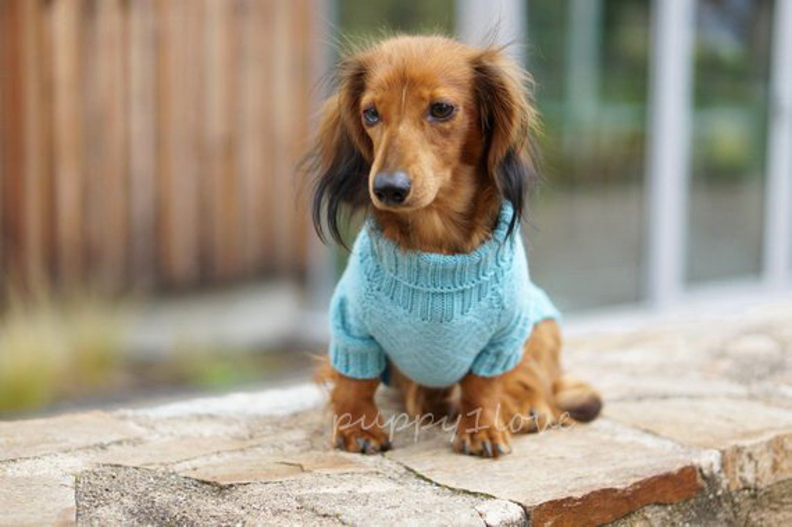 Dachshund Clothes - Dachshund Sweater - Dog Clothes - Dog Sweater ...