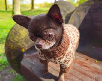 犬服 チワワスッキーページ ハンドメイド DIY Dog Shirt Tutorial：材料費300円でチワワ用のプリントTシャツを