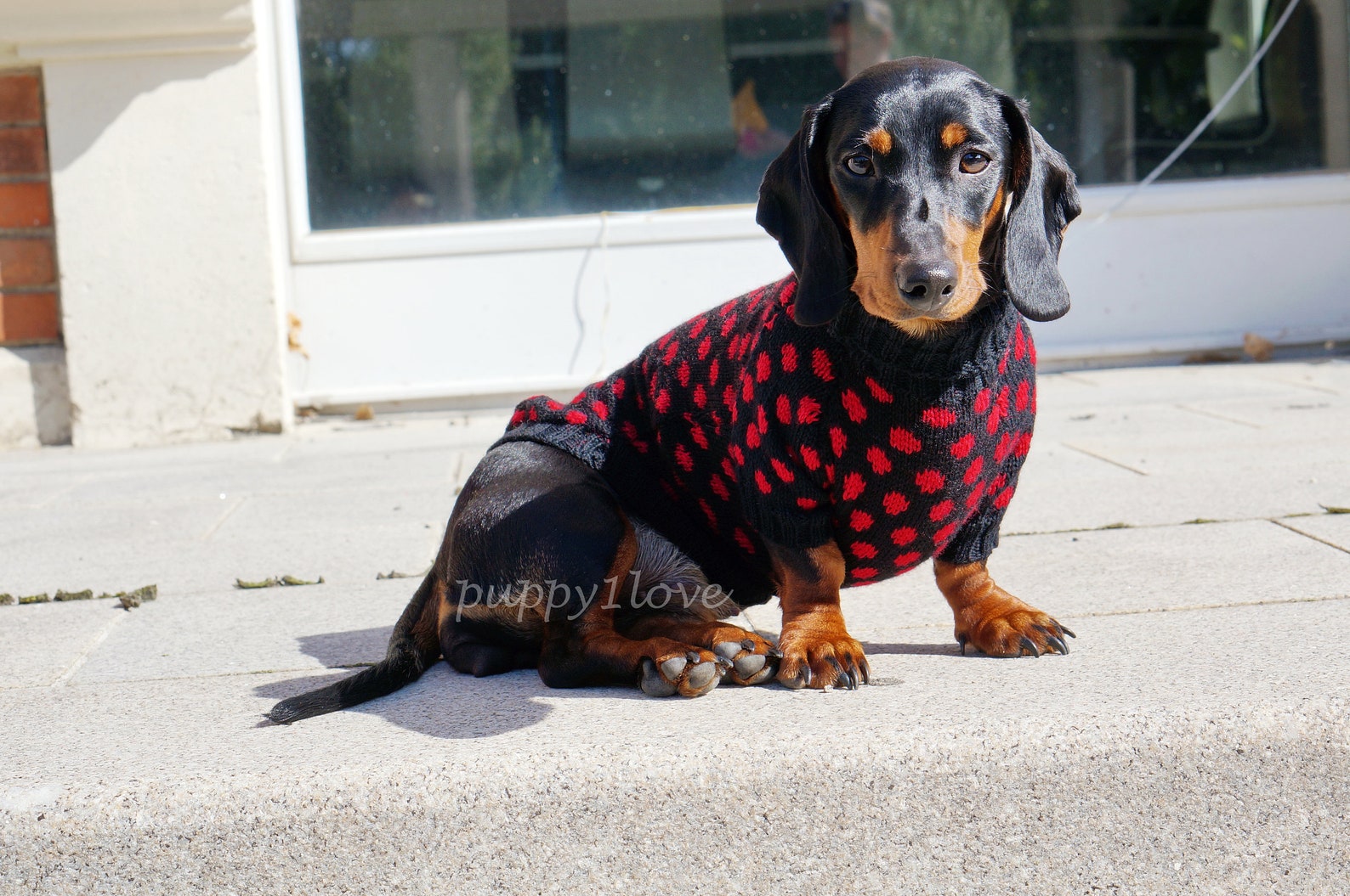 Pet Clothes - Polka Dots - Red Dachshund Sweater - Dog Costume - Soft ...