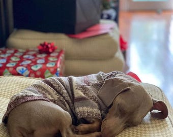 Puede incluir: Un perro Weimaraner durmiendo con un suéter de punto, acurrucado en una cama para perros estampada. Regalos envueltos en papel festivo y un árbol de Navidad son visibles en el fondo, lo que sugiere un tema navideño.