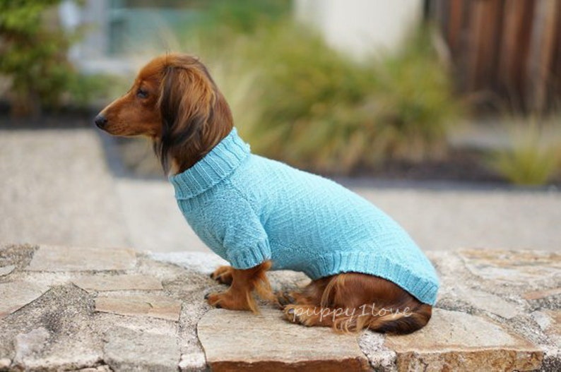 Wire Haired Dackel Dog Print Damen Schal Halstuch Erhältlich In Creme Und Grau