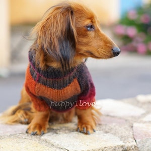 Dachshund Sweater Dog Clothes Dog clothing Dog sweater Dachshund clothes Wiener dog Dog winter clothes Winter dog sweater image 3