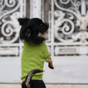 May include: A small black and brown dog wearing a green knitted sweater. The dog is standing on its hind legs and looking to the right. The dog is in front of a white metal gate with a decorative design.