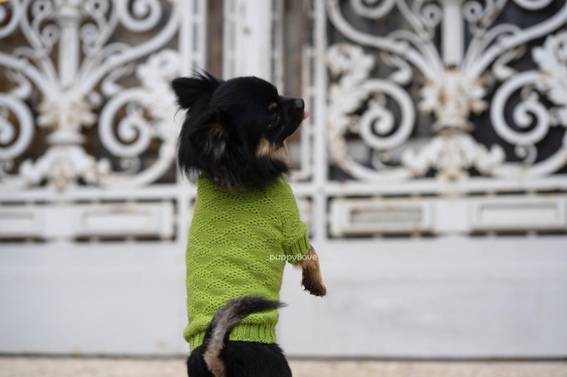 May include: A small black and brown dog wearing a green knitted sweater. The dog is standing on its hind legs and looking to the right. The dog is in front of a white metal gate with a decorative design.