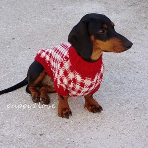 May include: A black and tan dachshund wearing a red and white knitted jumper with a diamond pattern.