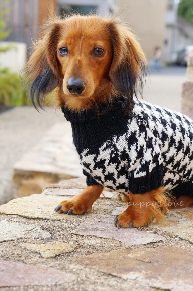 Hund stricken Pullover Houndstooth Dackel Pullover Etsy