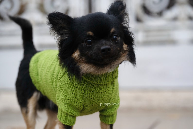 Chihuahua Clothes Green Wool Dog Clothes Knit Clothing Etsy
