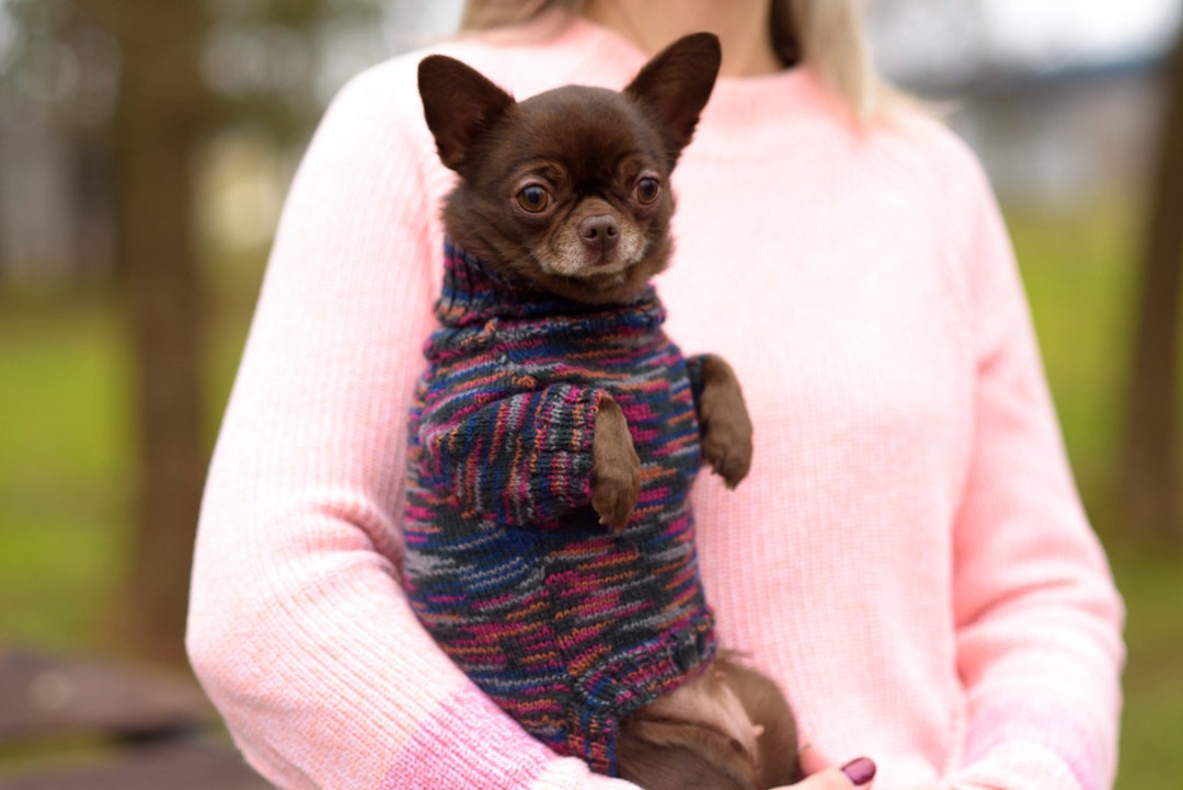 Vêtements pour chihuahua Laine Pull pour chien Pull pour