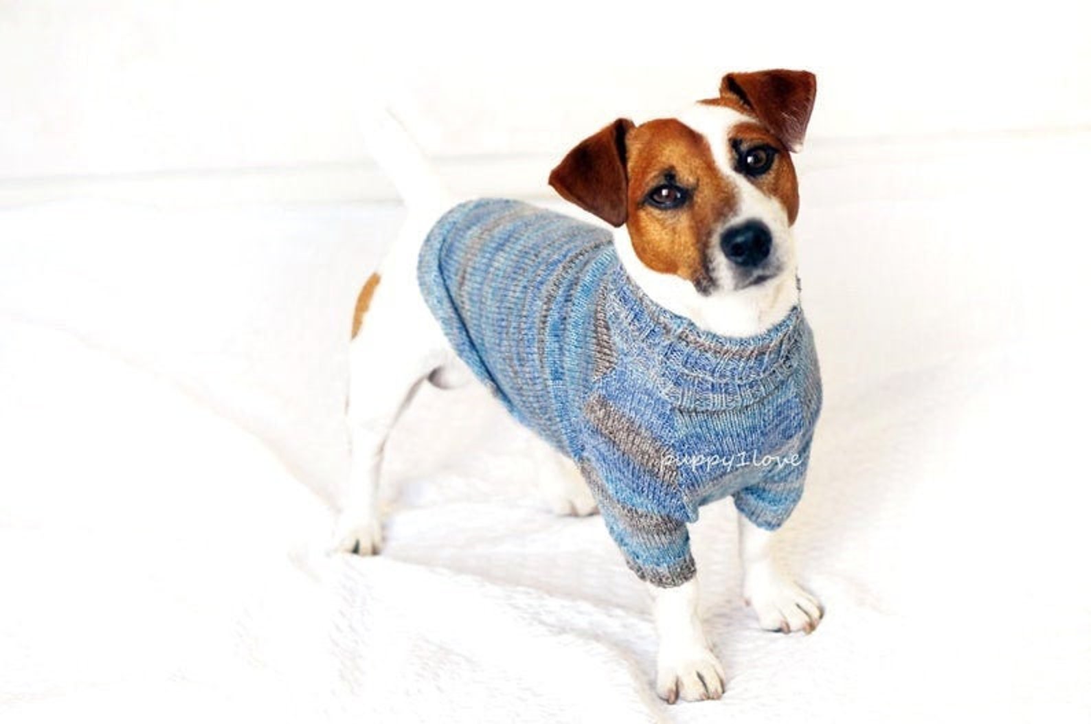 Vêtements pour Jack Russell Terrier Vêtements pour chien Etsy France