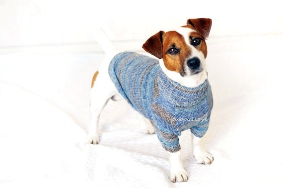 Clothes for Jack Russell Terrier Knit 