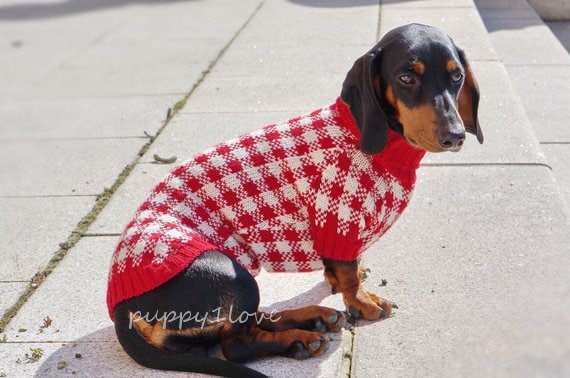 Dachshund Clothes - Red Gingham - Dachshund Sweater - Dog Clothes -Dog sweater - Wiener dog -Dog winter clothes - Dackel -Custom Dog Clothes