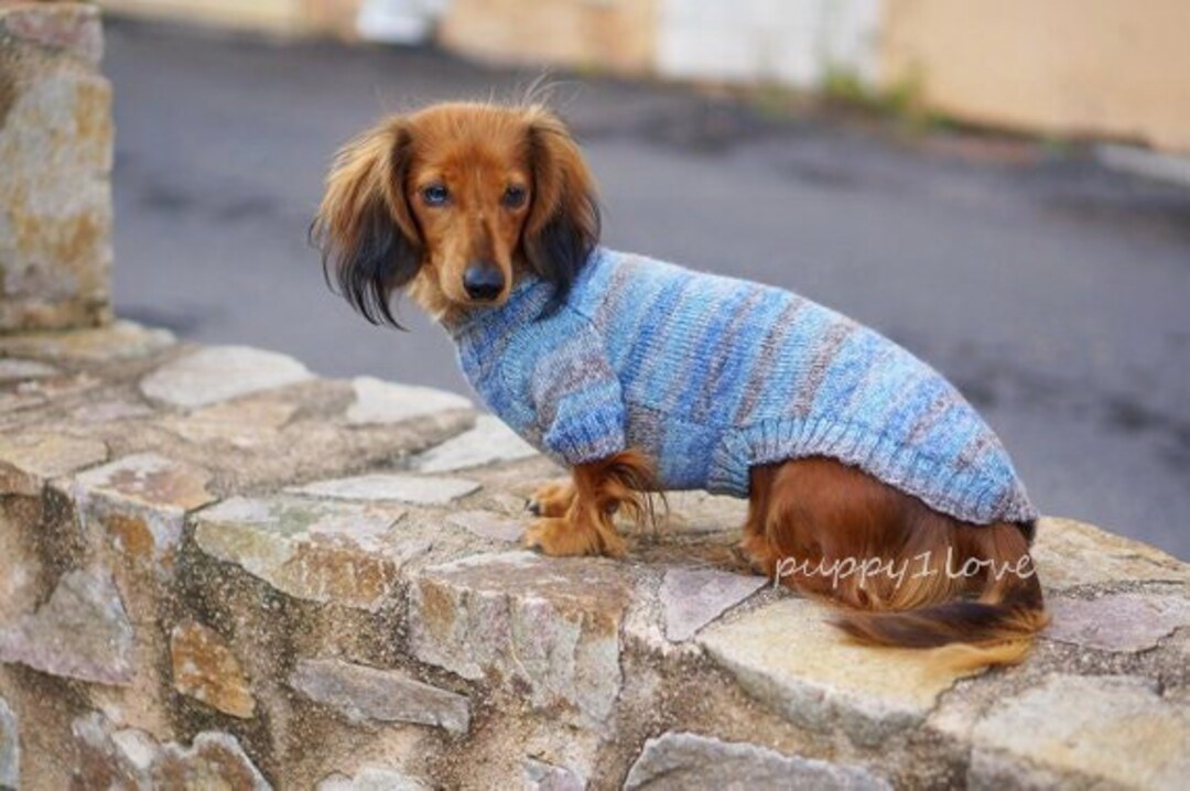 Dachshund Knit Cardigan main image 0
