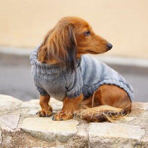May include: A brown and tan dachshund wearing a gray and white striped knitted sweater. The dog is sitting on a stone surface and looking to the right.