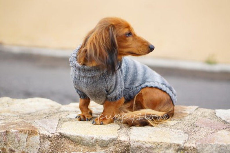 May include: A brown and tan dachshund wearing a gray and white striped knitted sweater. The dog is sitting on a stone surface and looking to the right.