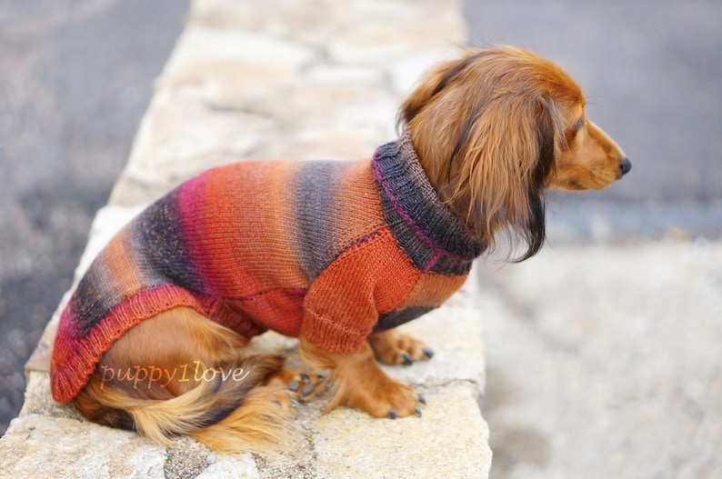 Dachshund Sweater Dog Clothes Dog clothing Dog sweater Dachshund clothes Wiener dog Dog winter clothes Winter dog sweater image 8