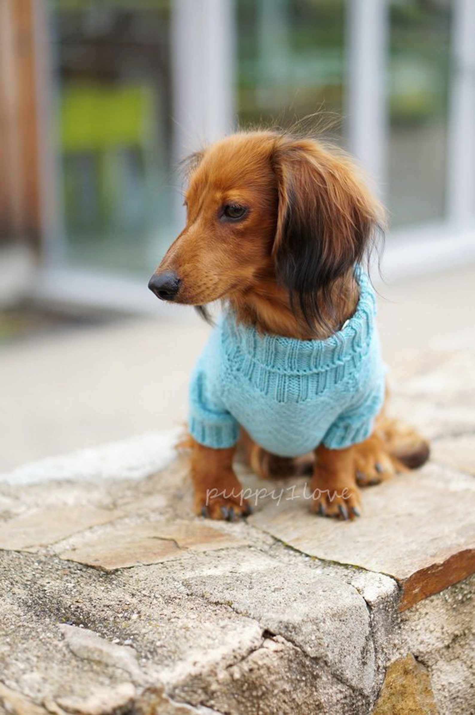 Dachshund Clothes - Dachshund Sweater - Dog Clothes - Dog Sweater ...