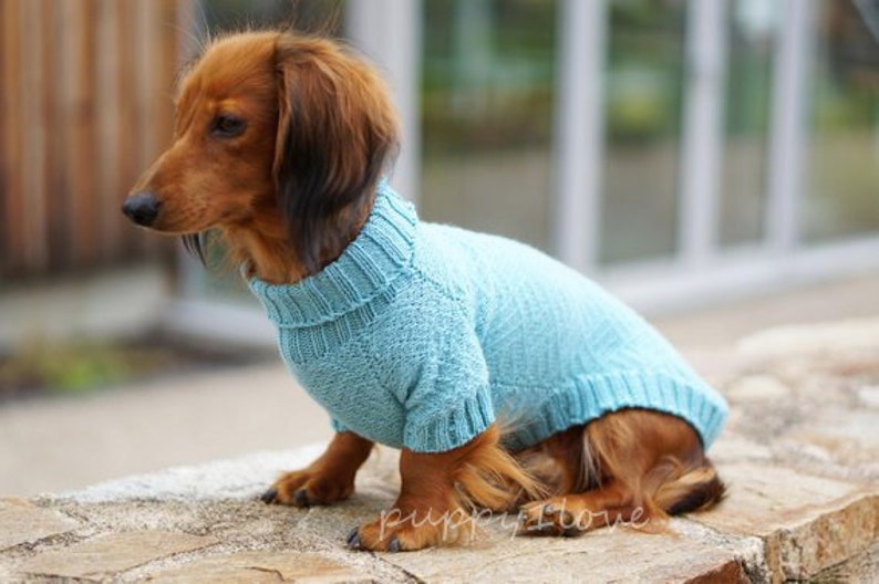Dackel Kleidung Dackel Pullover Hundebekleidung Hund Etsy