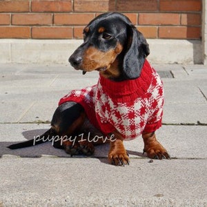 May include: A black and tan dachshund wearing a red and white checked jumper. The dog is sitting on a grey pavement.