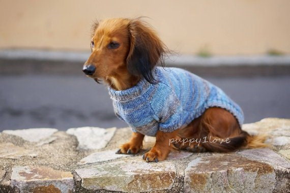 brand Goed opgeleid verfrommeld Knit Dog Clothes Dachshund Sweater Dog's Sweater - Etsy