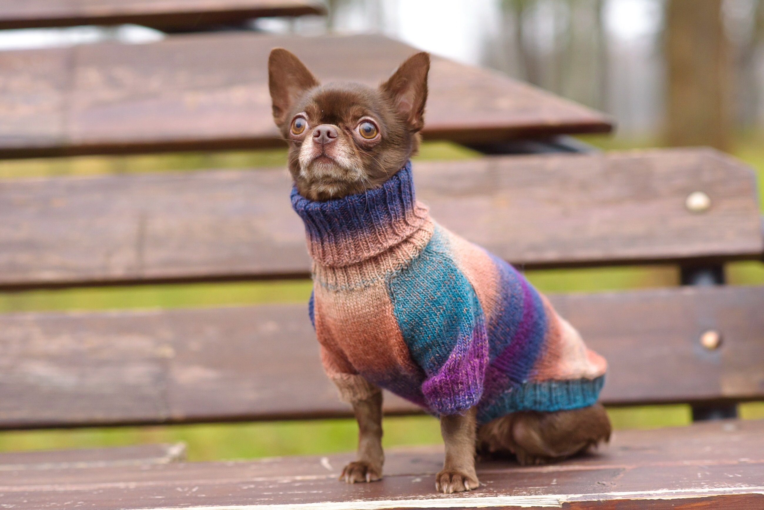 Chihuahua Clothing - Wool Christmas - Dog pullover -Dog Sweater-Jacket - Pet Sweater - Small dog clothes - Custom Dog Clothing