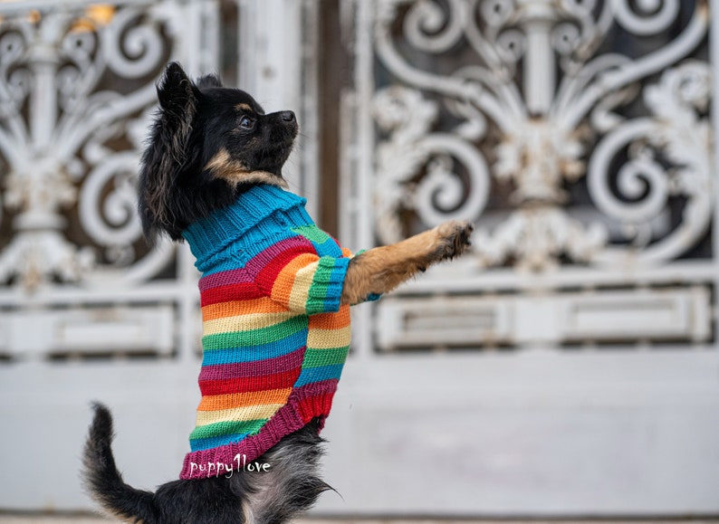 Chihuahua Clothes Gay Pride Dog Clothes LGBT Love is Etsy