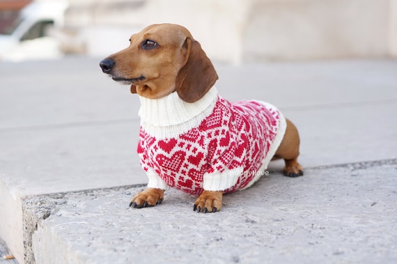 Dog Sweaters So Cute You'll Want to Wear Them!