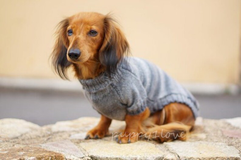 May include: A small, brown and tan dachshund wearing a gray and white striped sweater. The dog is sitting on a stone surface and looking to the left.