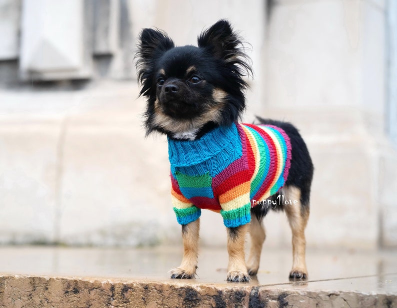 Chihuahua Clothes Gay Pride Dog Clothes LGBT Love is Etsy
