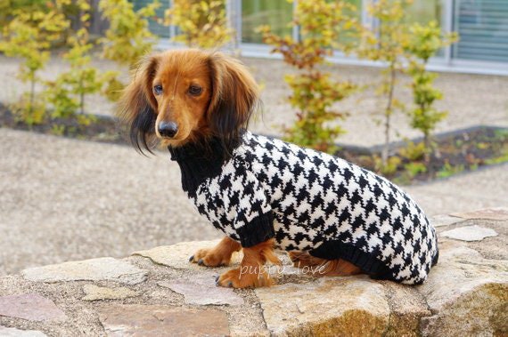 Dachshund Sweater Dog Clothes Dog Clothing Dog Sweater 