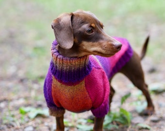 Suéter para perros salchicha - Todas las razas - Lana - Ropa para perros - Suéter para perros - Dackel - Teckel - Perro salchicha - Suéter de invierno para perros - Ropa personalizada para perros