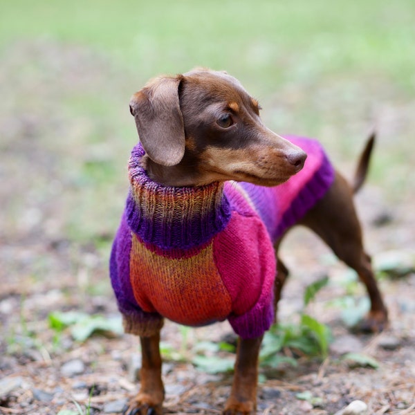 Dackel - Dackel - Dackel - Dackel - Dackel - Dackel - Dackel - Winterhundepullover - Hundebekleidung nach Maß