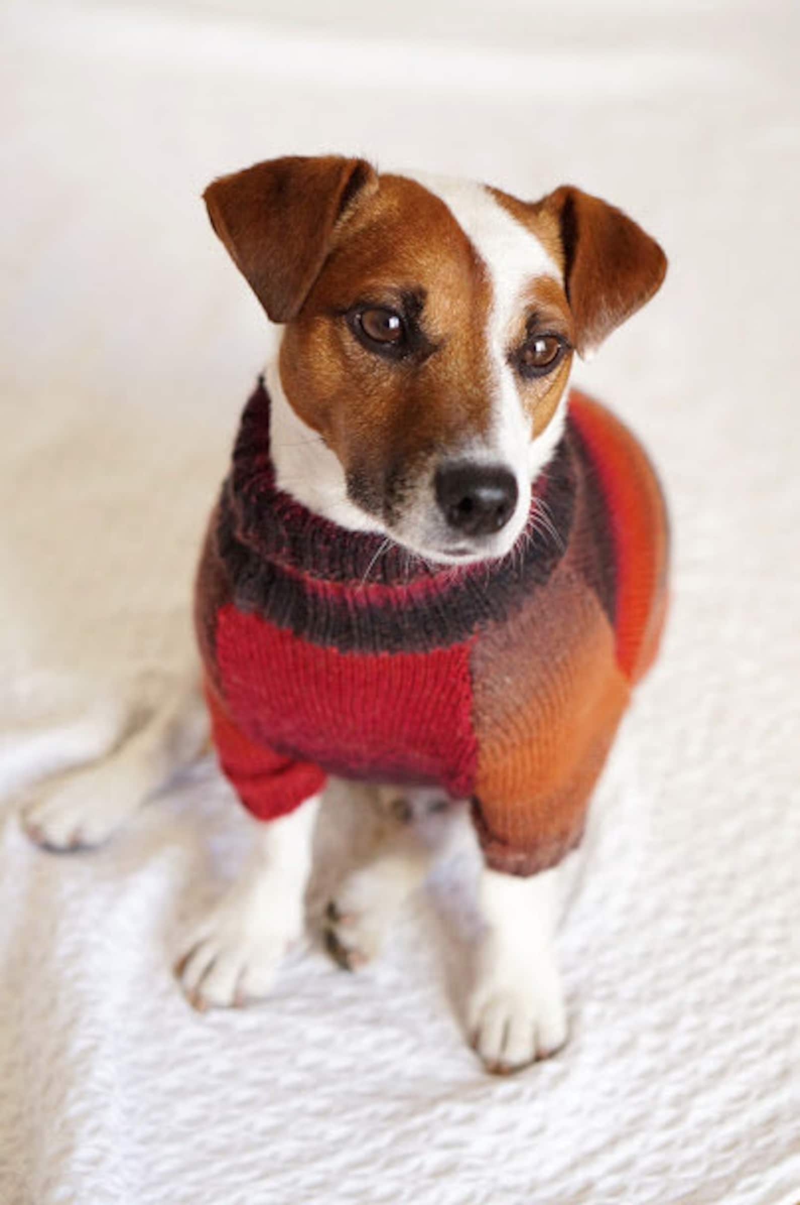 Warm Dog Sweater Winter Dog Sweater for Jack Russell Terrier Etsy
