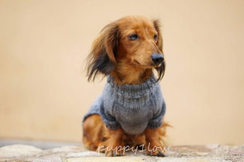 May include: A small brown and tan dachshund wearing a gray knitted sweater. The dog is sitting on a stone surface and looking to the right.