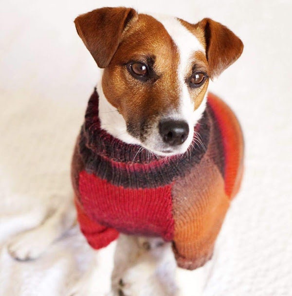 bijkeuken Plaats Haarzelf Warme hondentrui Winter hondentrui voor Jack Russell Terrier - Etsy België