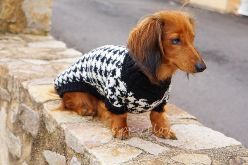 Hund stricken Pullover Houndstooth Dackel Pullover Etsy