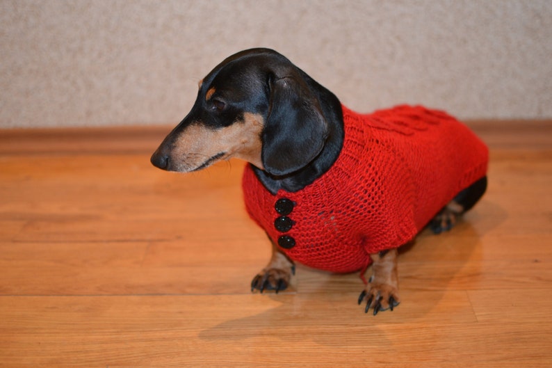 Dog Clothes Dachshund clothes Dog Sweater Dog jacket Etsy