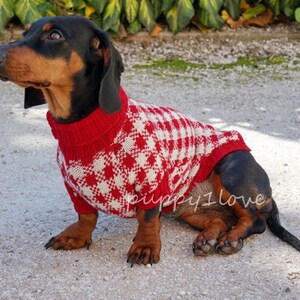 May include: A black and tan dachshund wearing a red and white checked sweater. The dog is sitting on a light grey surface and looking to the left.