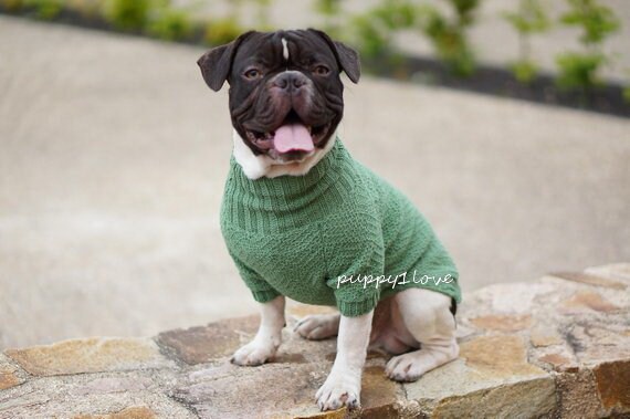 Manteau bulldog anglais hotsell