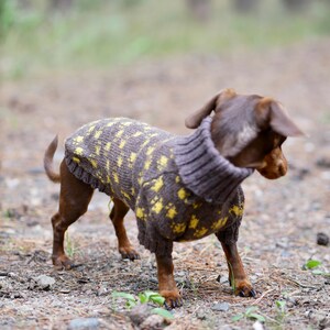 May include: A small brown dog wearing a gray and yellow patterned sweater. The sweater has a high, ribbed collar and covers the dog's body. The dog is standing on a dirt path with a blurred forest background.